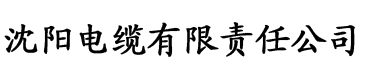 一区国产二区亚洲三区另类电缆厂logo